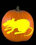 Giant Rat Pumpkin Carving Pattern Preview